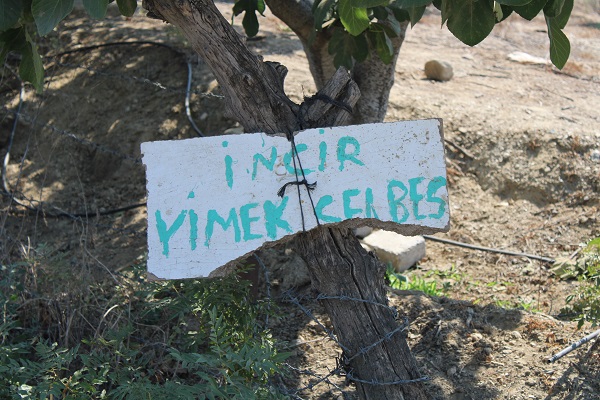 Foto - Gören dönüp tekrar baktı | Bahçesine öyle bir not astı ki! 