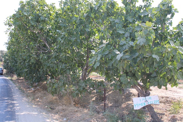 Foto - Gören dönüp tekrar baktı | Bahçesine öyle bir not astı ki! 