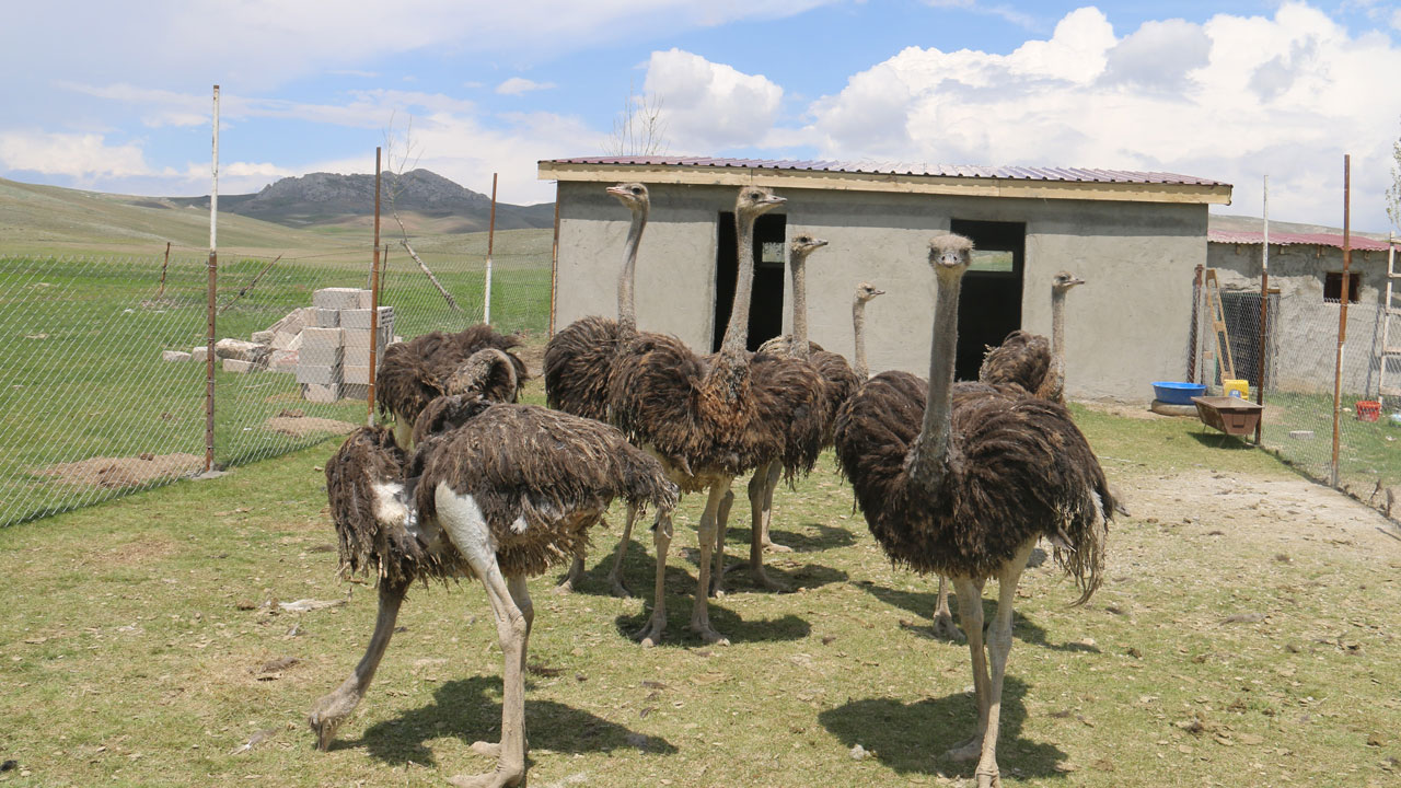 Foto - Gören şaşırıp kalıyor! Babasının hayalini gerçekleştirdi