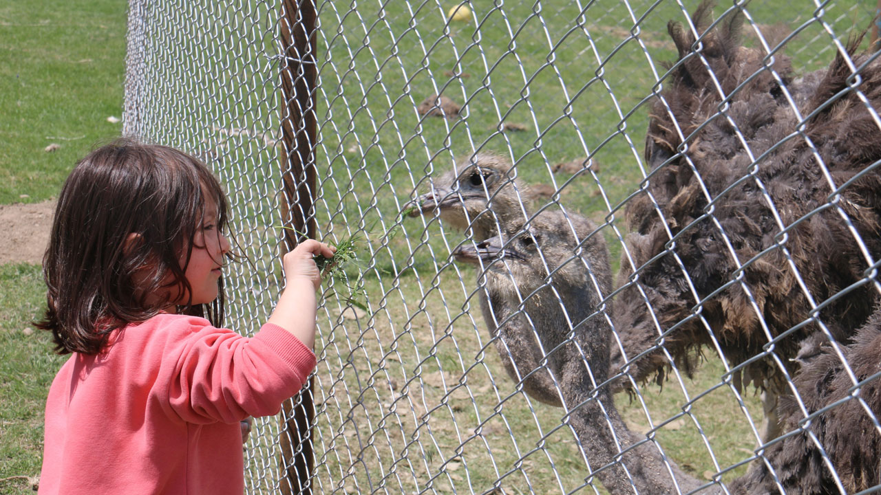 Foto - Gören şaşırıp kalıyor! Babasının hayalini gerçekleştirdi