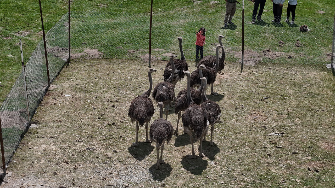 Foto - Gören şaşırıp kalıyor! Babasının hayalini gerçekleştirdi