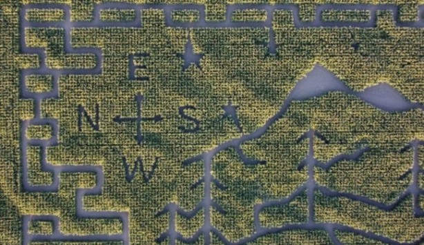 Foto - Gören şaşkına dönüyor! Labirent mısır tarlası