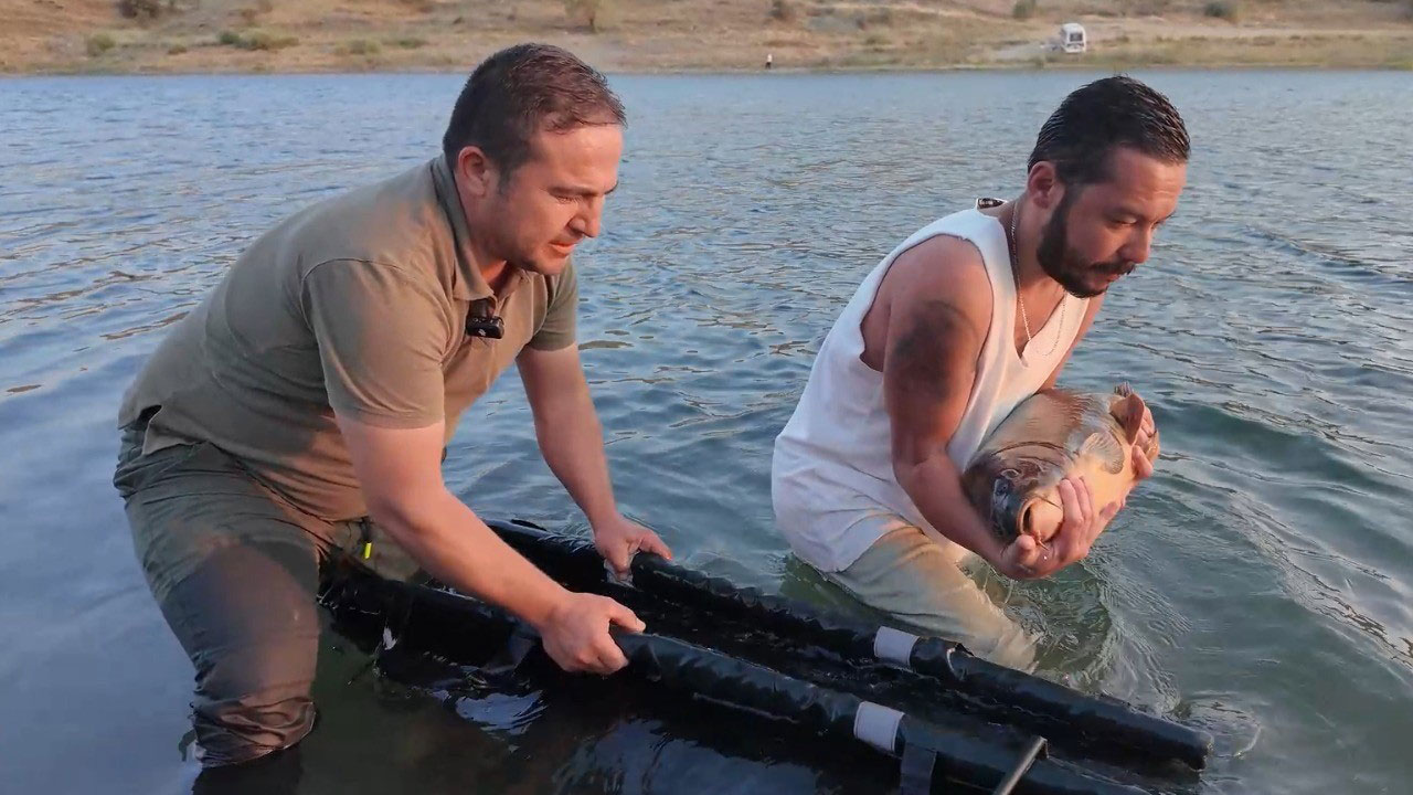 Foto - Görenler anlam vermekte zorlanıyor! Tutuyorlar, tartıyorlar, geri bırakıyorlar