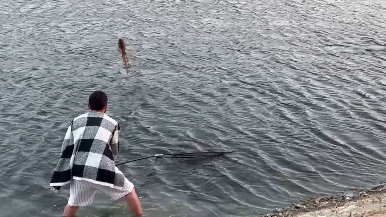 Foto - Görenler anlam vermekte zorlanıyor! Tutuyorlar, tartıyorlar, geri bırakıyorlar