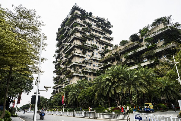Foto - Görenler bakmaya doyamıyor | Ev değil sanki orman