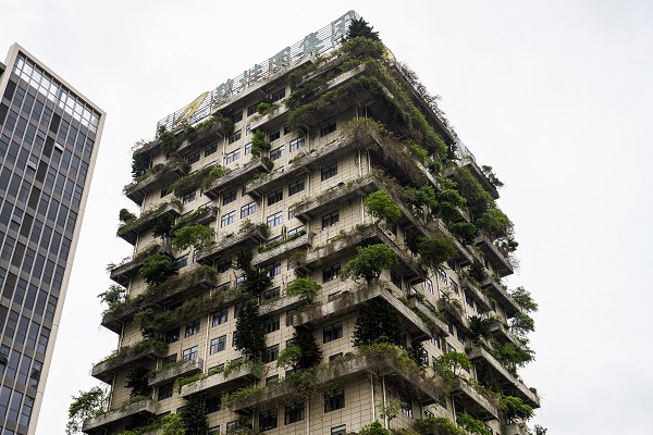 Foto - Görenler bakmaya doyamıyor | Ev değil sanki orman