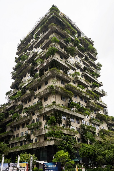 Foto - Görenler bakmaya doyamıyor | Ev değil sanki orman