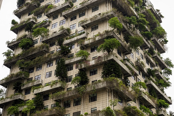 Foto - Görenler bakmaya doyamıyor | Ev değil sanki orman