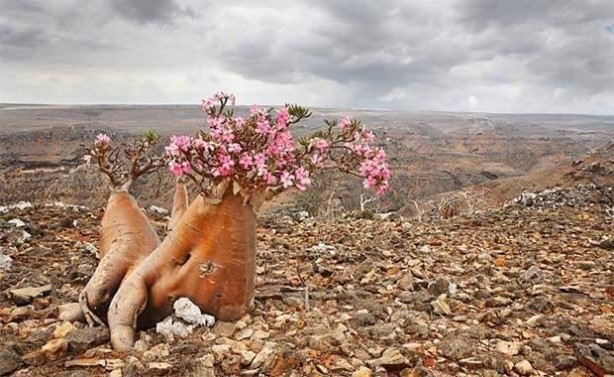 Foto - Görenler bir daha bakamıyor! İşte tarih boyunca gizemi çözülemeyen o yerler...
