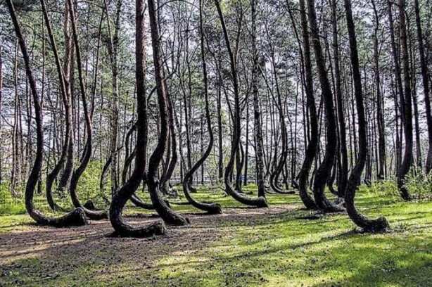 Foto - Görenler bir daha bakamıyor! İşte tarih boyunca gizemi çözülemeyen o yerler...