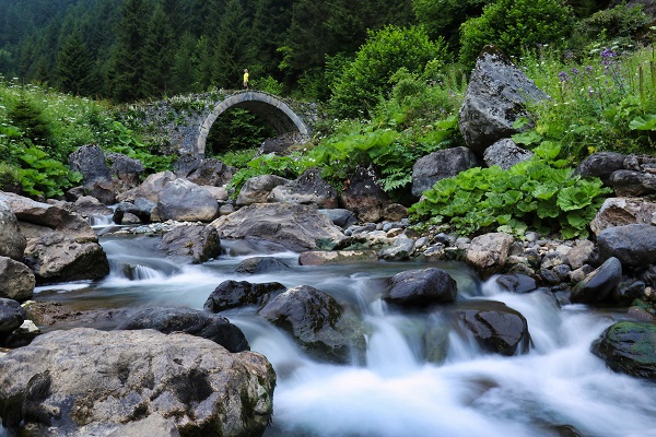 Görenler buradan ayrılmak istemiyor! Bu doğa harikası Türkiye'de