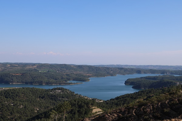 Foto - Görenler dönüp tekrar bakıyor! 4 bin yıllık bitki akın akın turist çekiyor