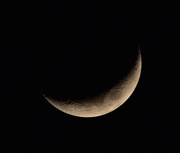 Foto - Görenler dönüp tekrar baktı! Bu görüntüler Ahlat'ta çekildi