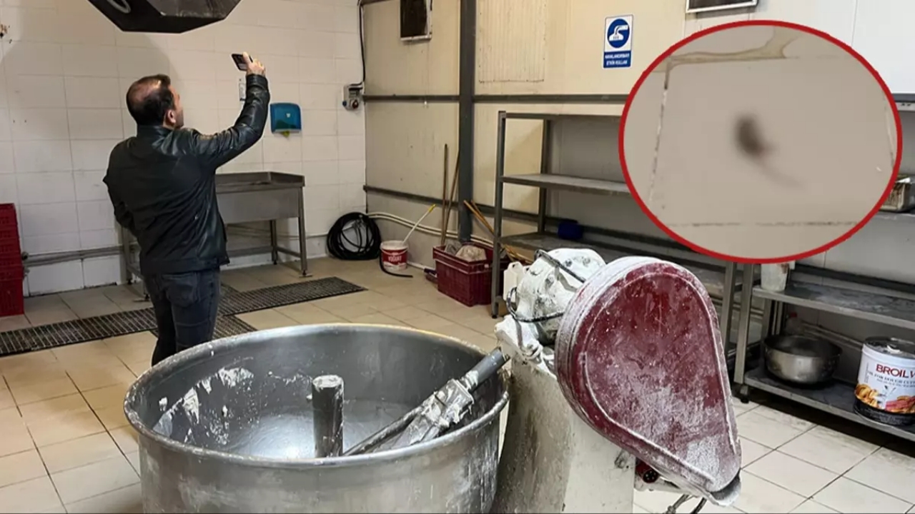 Görenler, gözlerine inanamadı! CHP’li belediyenin halk ekmek fabrikasında fare skandalı