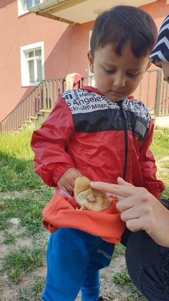 Foto - Görenler gözlerine inanamıyor
