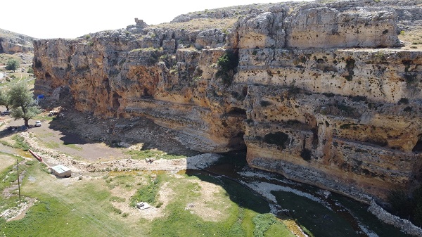 Foto - Görenler gözlerine inanamıyor! Adeta kolları bacakları var! 