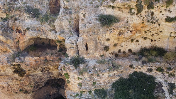 Foto - Görenler gözlerine inanamıyor! Adeta kolları bacakları var! 