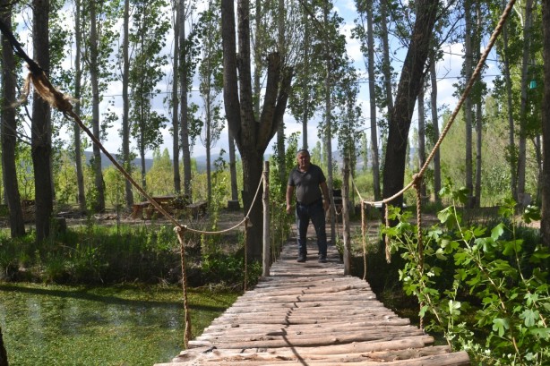 Foto - Görenler gözlerine inanamıyor, ağaçların dallarında meyve değil tabut var