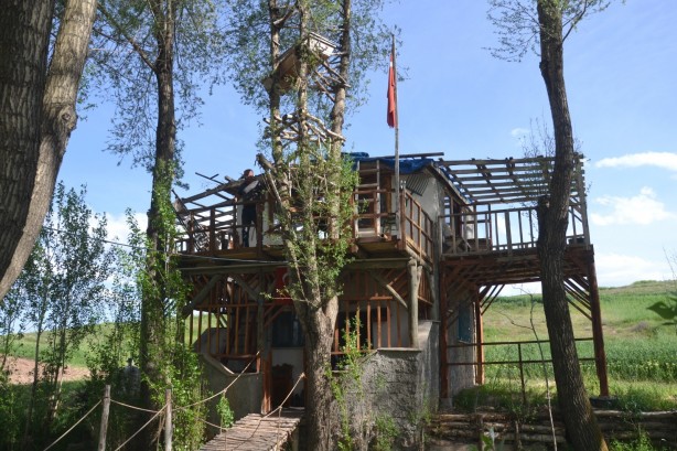 Foto - Görenler gözlerine inanamıyor, ağaçların dallarında meyve değil tabut var