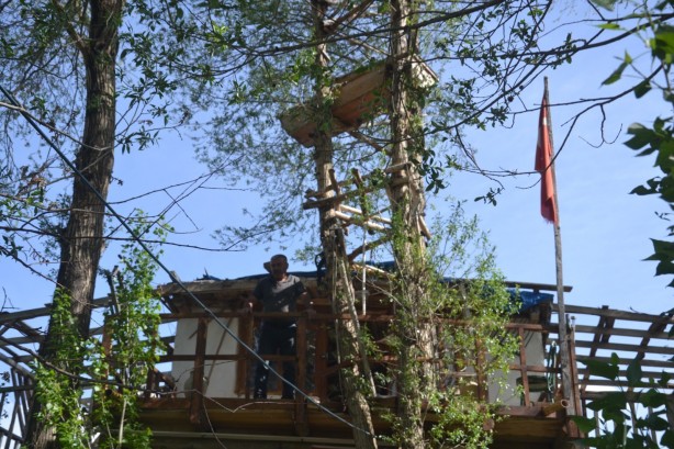 Görenler gözlerine inanamıyor, ağaçların dallarında meyve değil tabut var