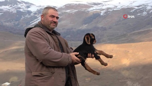 Foto - Görenler gözlerine inanamıyor: Tam 3 adet… Gerçekten çok sıra dışı bir şey