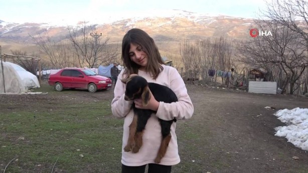Foto - Görenler gözlerine inanamıyor: Tam 3 adet… Gerçekten çok sıra dışı bir şey