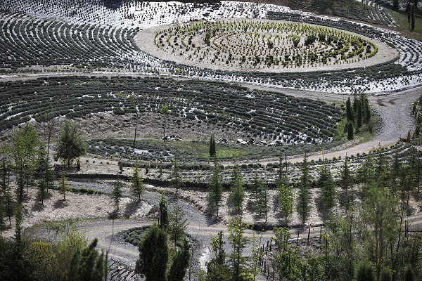 Foto - Görenler hayran kalıyor! Bu parkın peyzajı "Yıldızlı Gece" eserinden uyarlandı