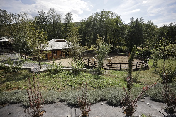 Foto - Görenler hayran kalıyor! Bu parkın peyzajı "Yıldızlı Gece" eserinden uyarlandı