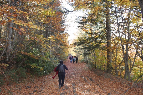 Foto - Görenler hayran kalıyor! Burası İsveç değil Türkiye