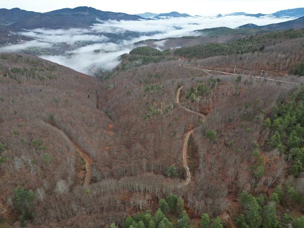 Foto - Görenler hayran kalıyor! Burası İsveç değil Türkiye