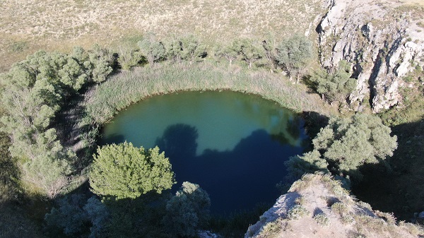 Foto - Görenler hayranlıklarını gizleyemiyor