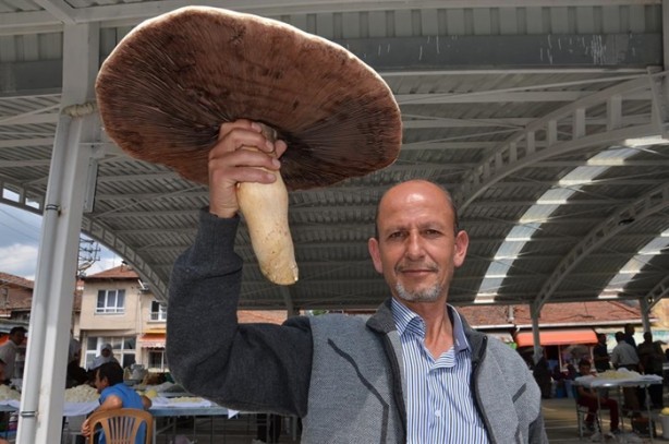 Foto - Görenler hayrete düştü