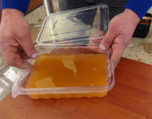 Foto - Görenler hayrete düştü!