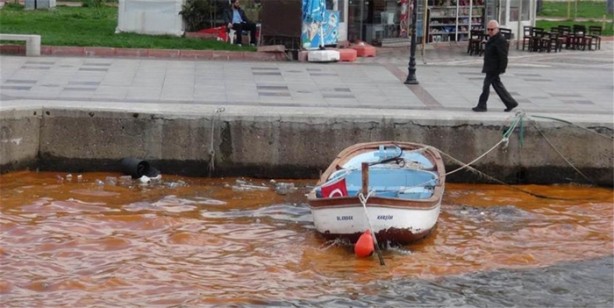 Görenler hayrete düştü!