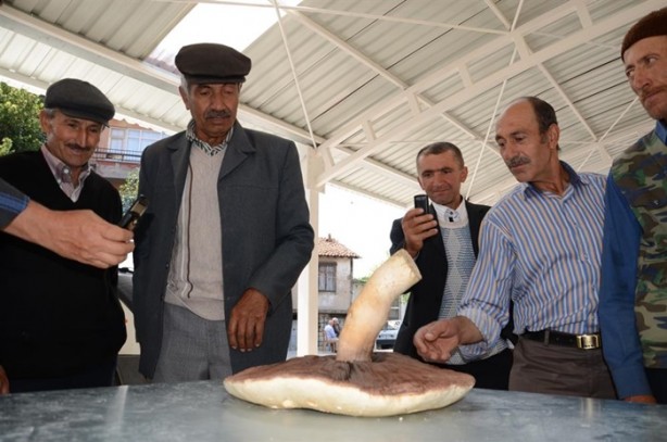 Foto - Görenler hayrete düştü