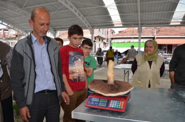 Görenler hayrete düştü