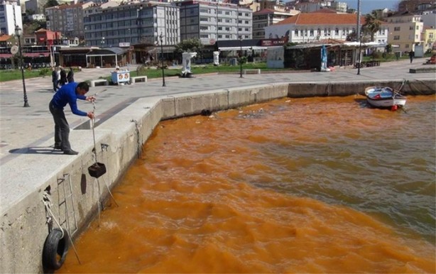 Foto - Görenler hayrete düştü!