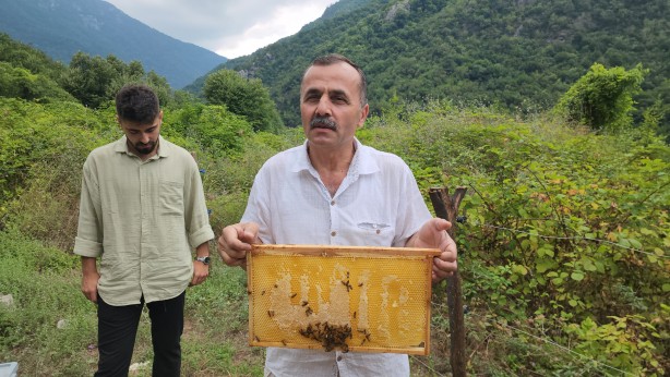 Görenler hayrete düştü! Arılar peteğe Allah yazdı