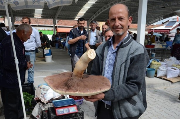 Foto - Görenler hayrete düştü