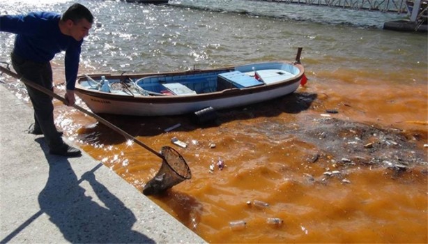 Foto - Görenler hayrete düştü!