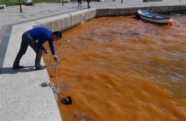 Foto - Görenler hayrete düştü!