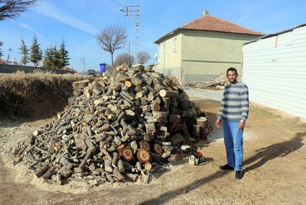 Foto - Görenler hayrete düştü! Kesilen ağacın içinden çıktı