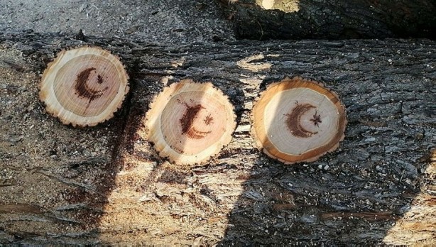 Foto - Görenler hayrete düştü! Kesilen ağacın içinden çıktı