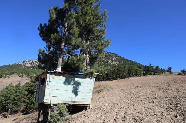 Foto - Görenler hayrete düşüyor! Böyle ev görülmedi