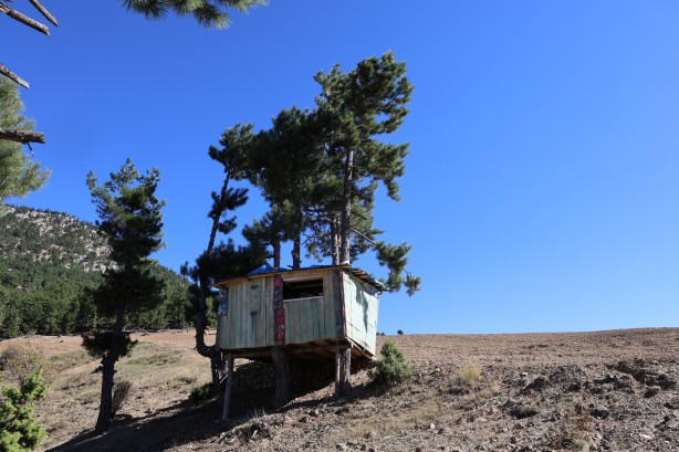 Görenler hayrete düşüyor! Böyle ev görülmedi