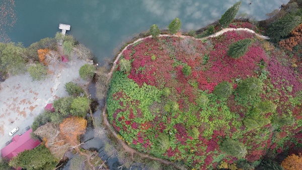 Foto - Görenler hayrete düşüyor! Bu doğa harikası Türkiye’de
