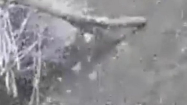 Foto - Görenler inanamadı! Trabzon’da haziran ayı şaşkınlığı