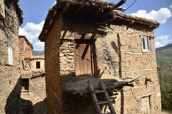 Foto - Görenler mest oluyor! 3 asırdır zamana direniyorlar