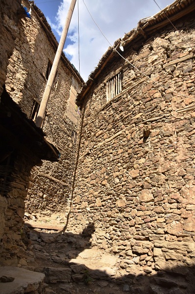 Foto - Görenler mest oluyor! 3 asırdır zamana direniyorlar