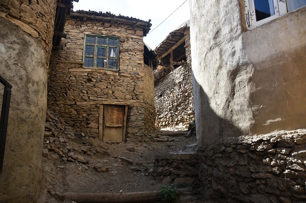 Foto - Görenler mest oluyor! 3 asırdır zamana direniyorlar